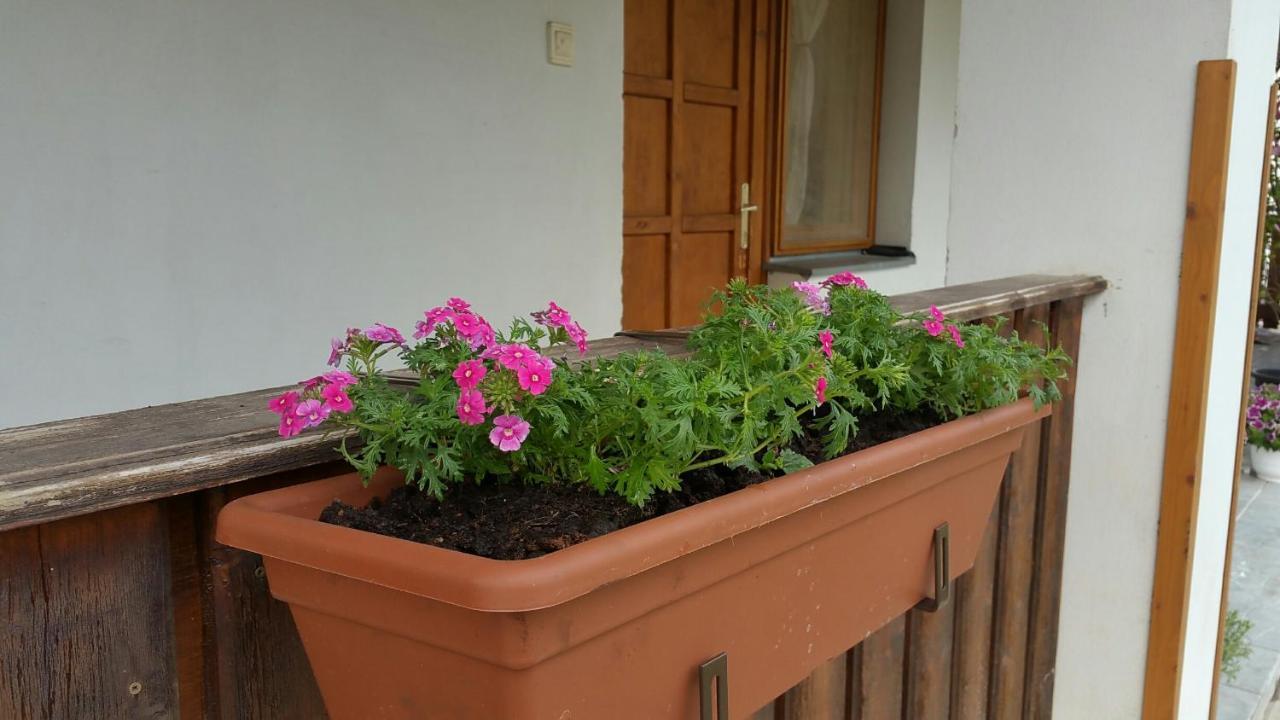 Elo Tisza Vendeghaz Hotel Nagykoru Buitenkant foto