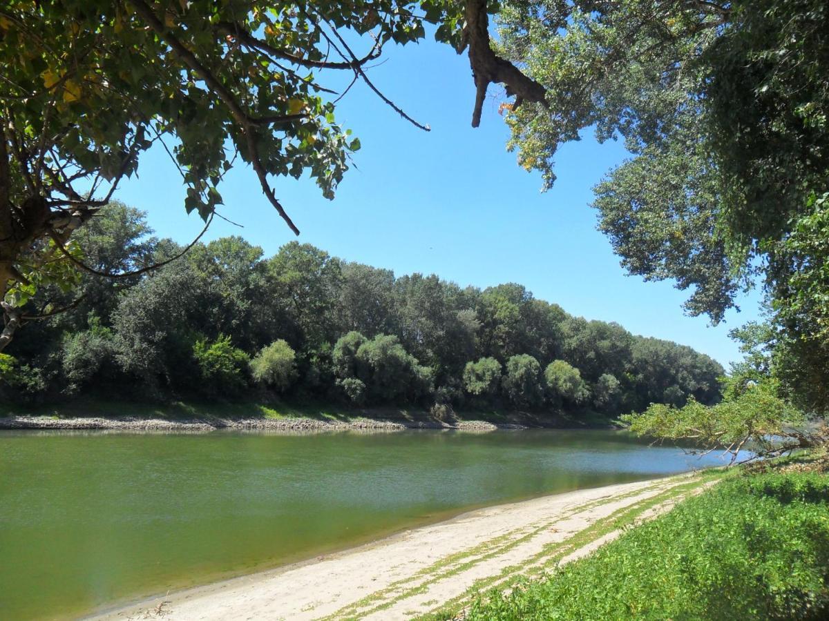 Elo Tisza Vendeghaz Hotel Nagykoru Buitenkant foto