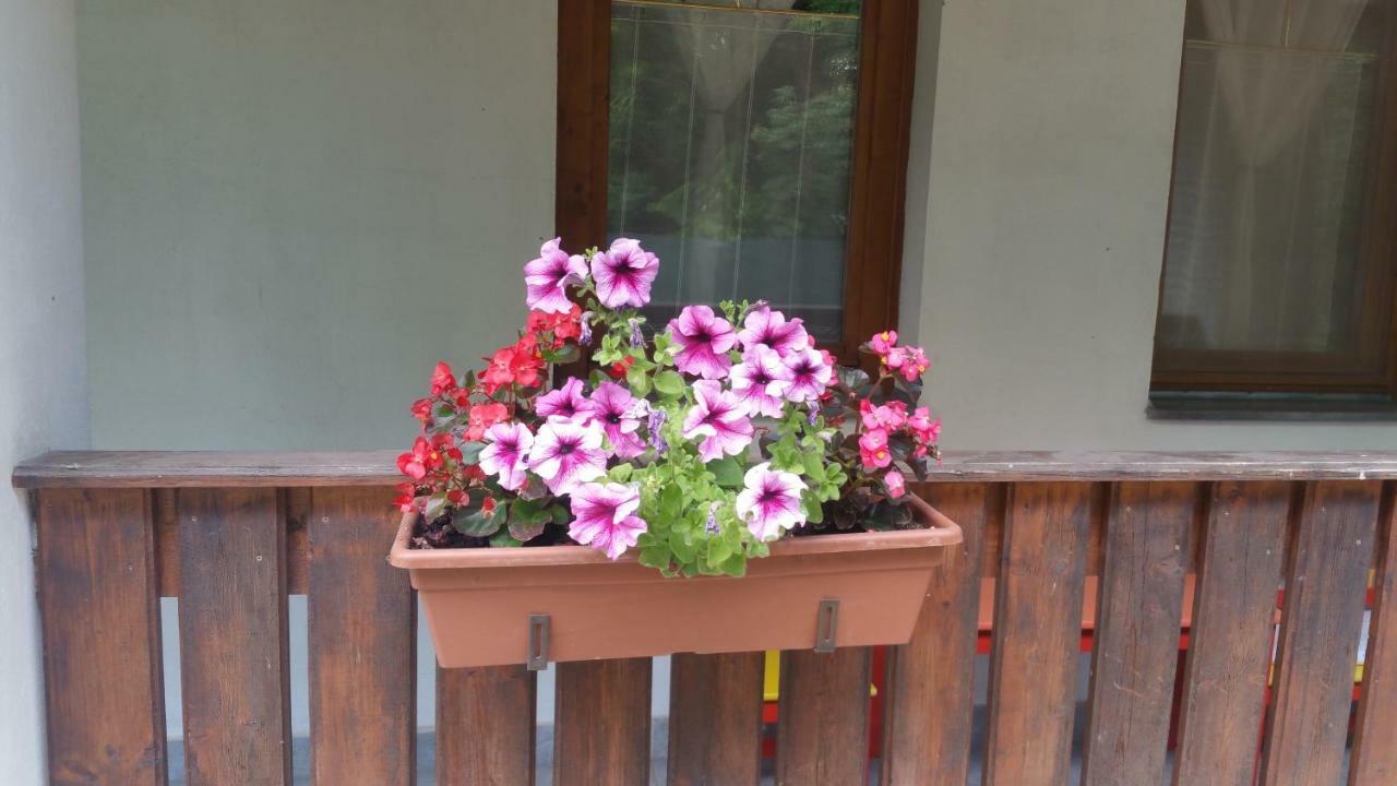 Elo Tisza Vendeghaz Hotel Nagykoru Buitenkant foto