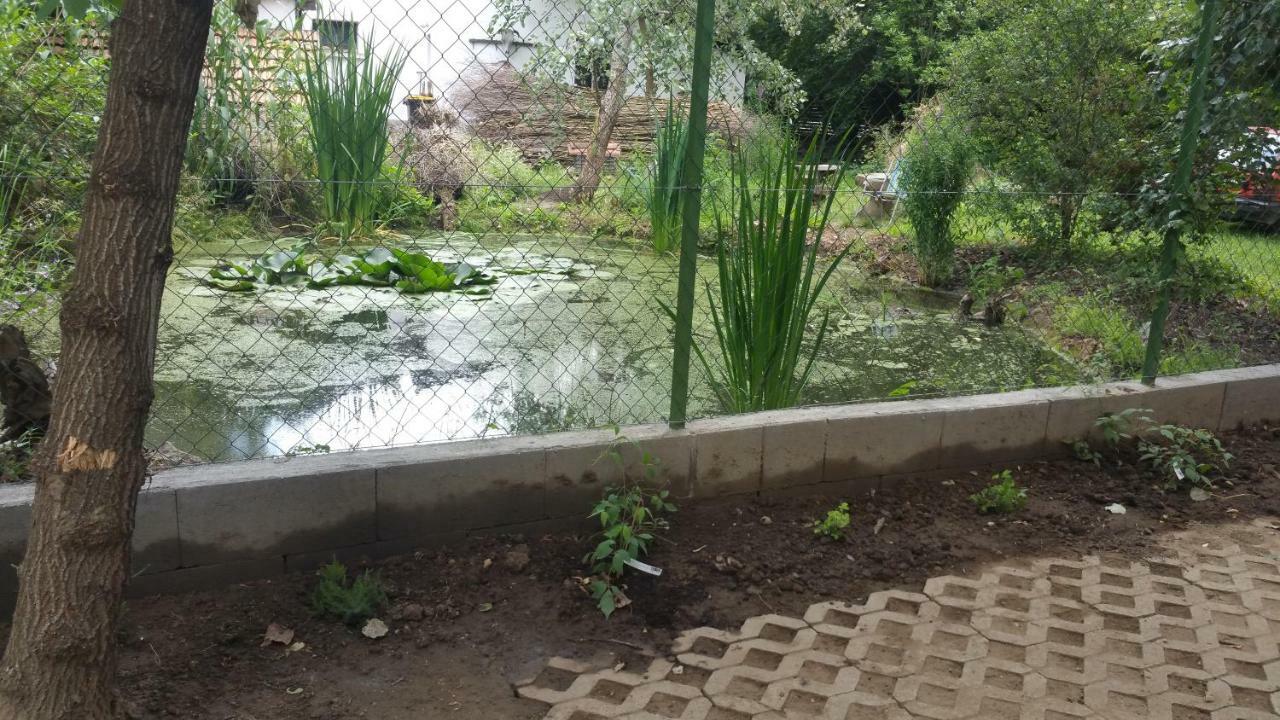 Elo Tisza Vendeghaz Hotel Nagykoru Buitenkant foto