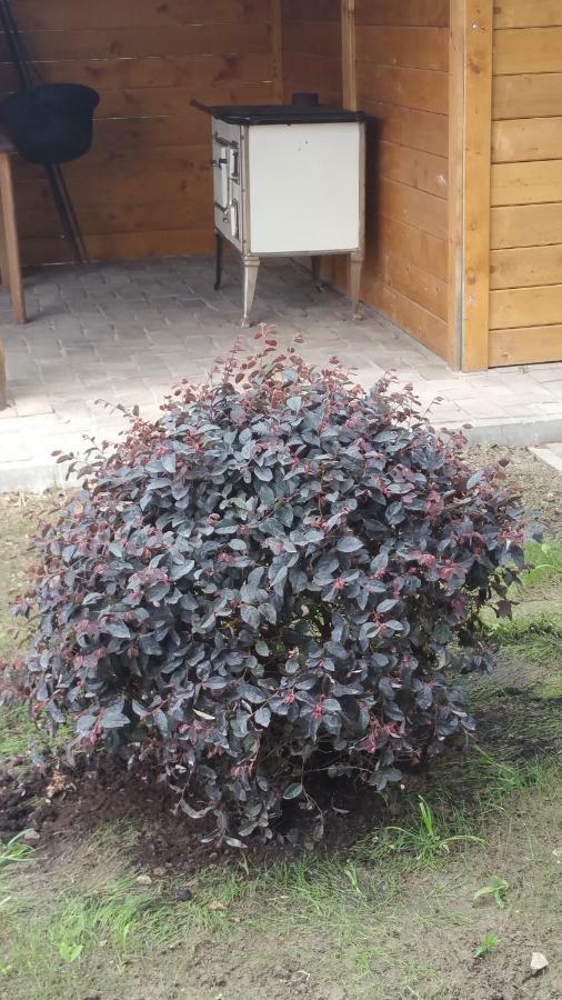 Elo Tisza Vendeghaz Hotel Nagykoru Buitenkant foto